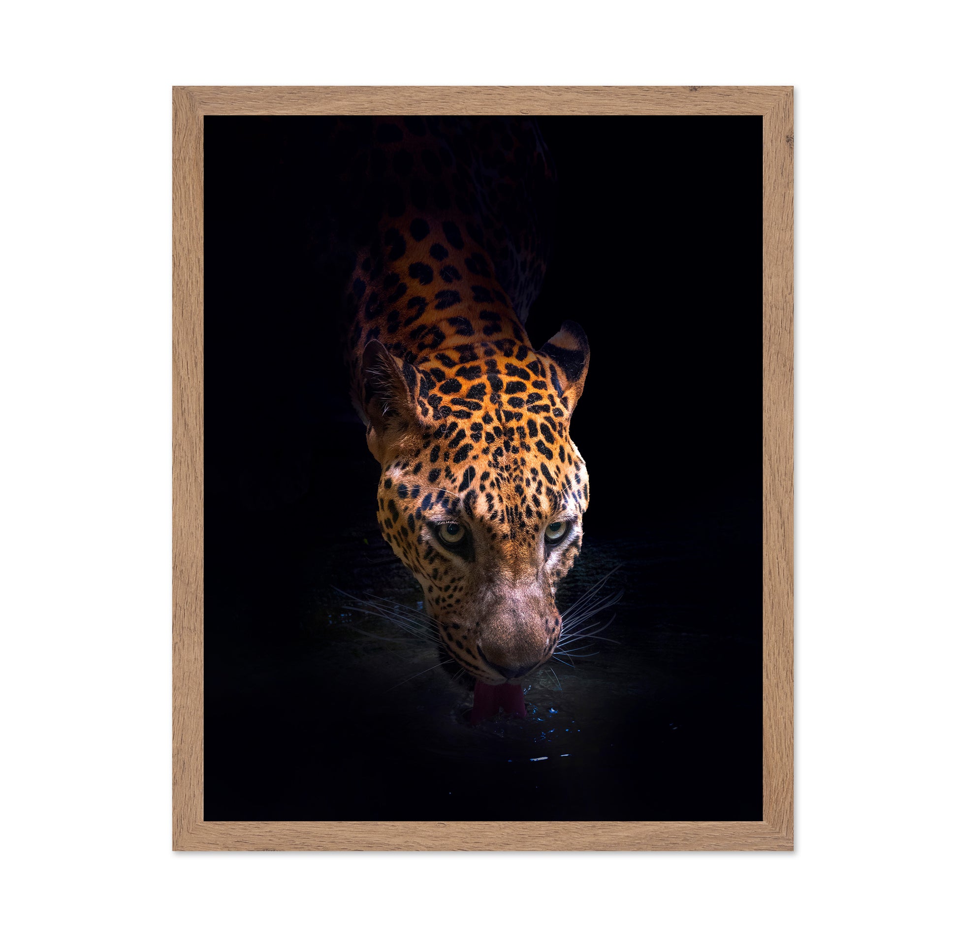 Leopard Drinking