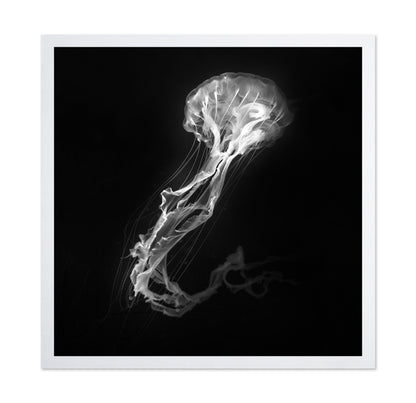 Jelly Fish Dance