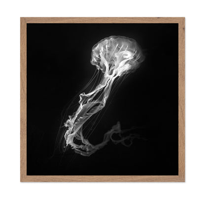 Jelly Fish Dance