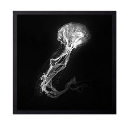 Jelly Fish Dance