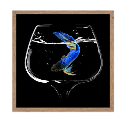 Betta Fish Dance