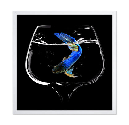 Betta Fish Dance