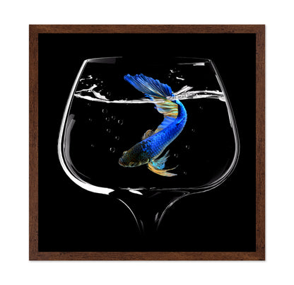 Betta Fish Dance