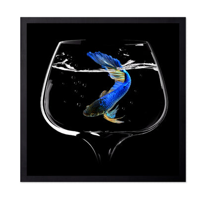 Betta Fish Dance
