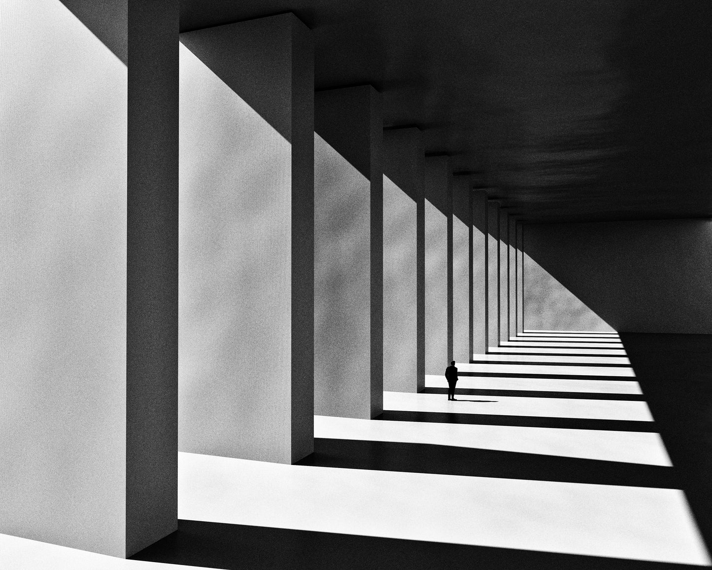 Shadows
