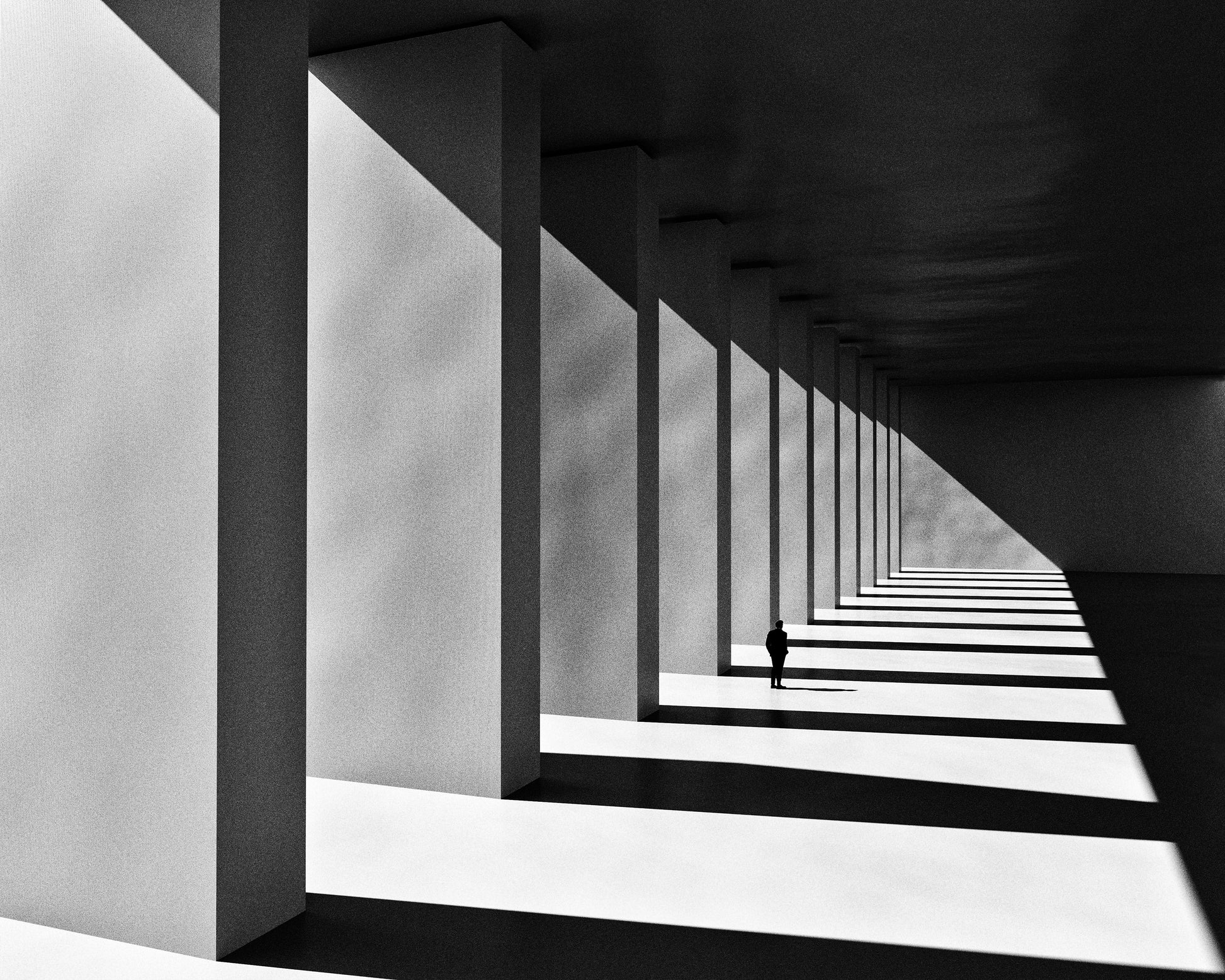 Shadows