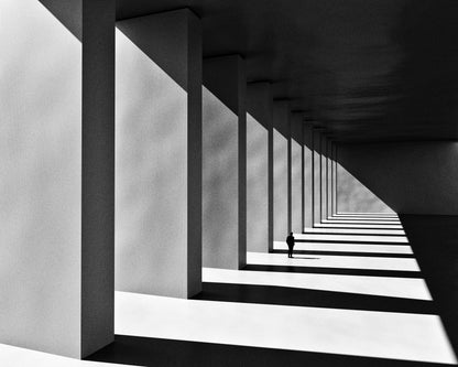 Shadows
