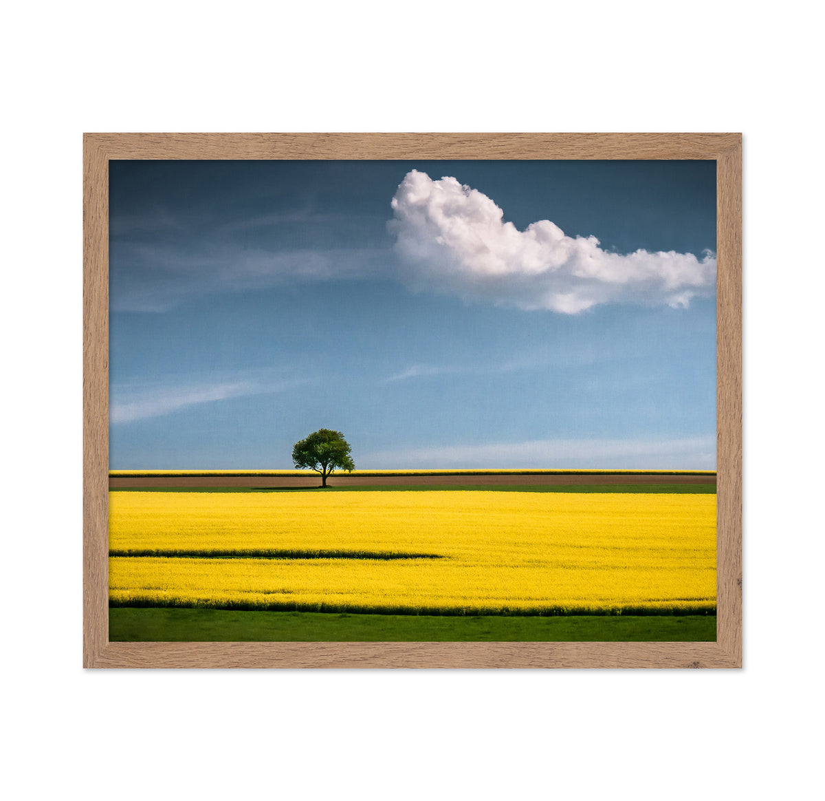 The Tree and The Cloud