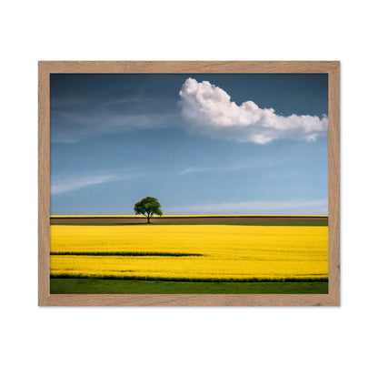 The Tree and The Cloud