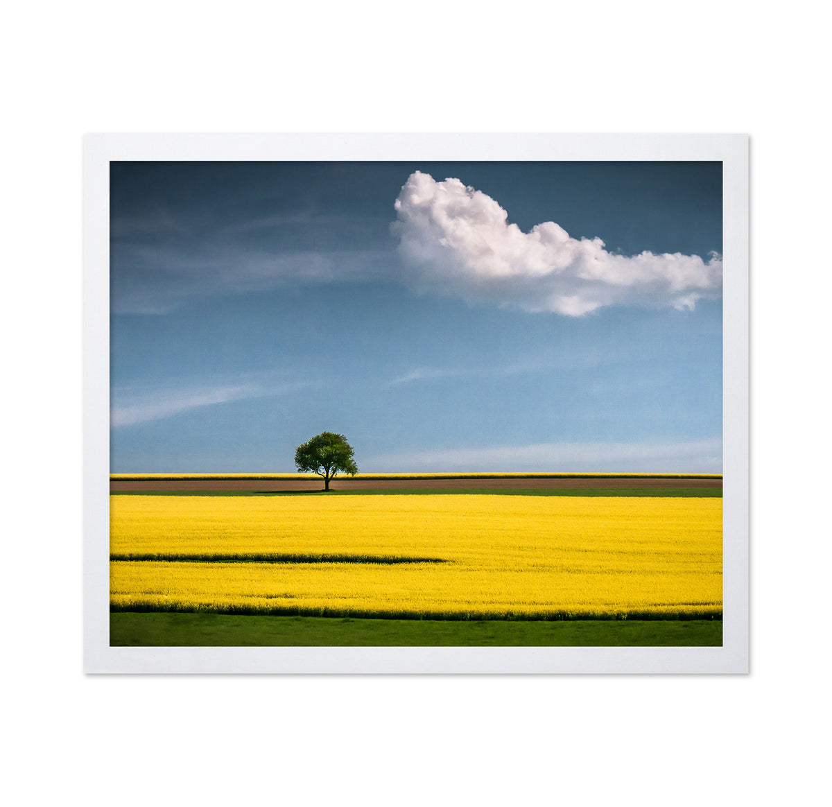 The Tree and The Cloud