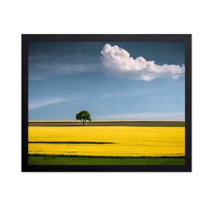 The Tree and The Cloud