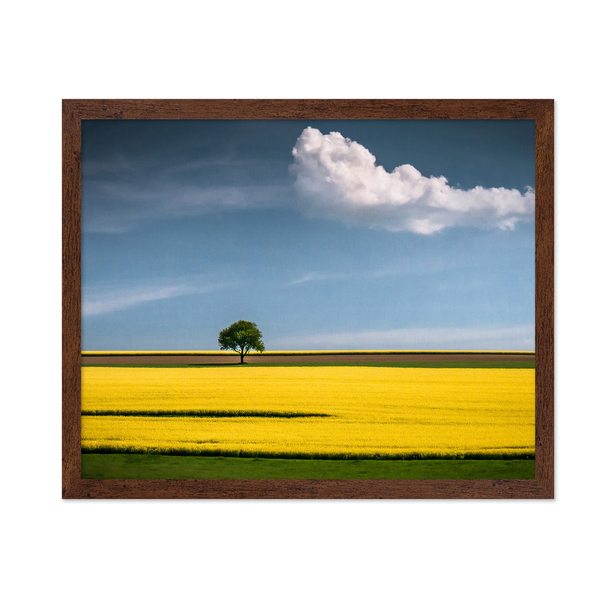 The Tree and The Cloud