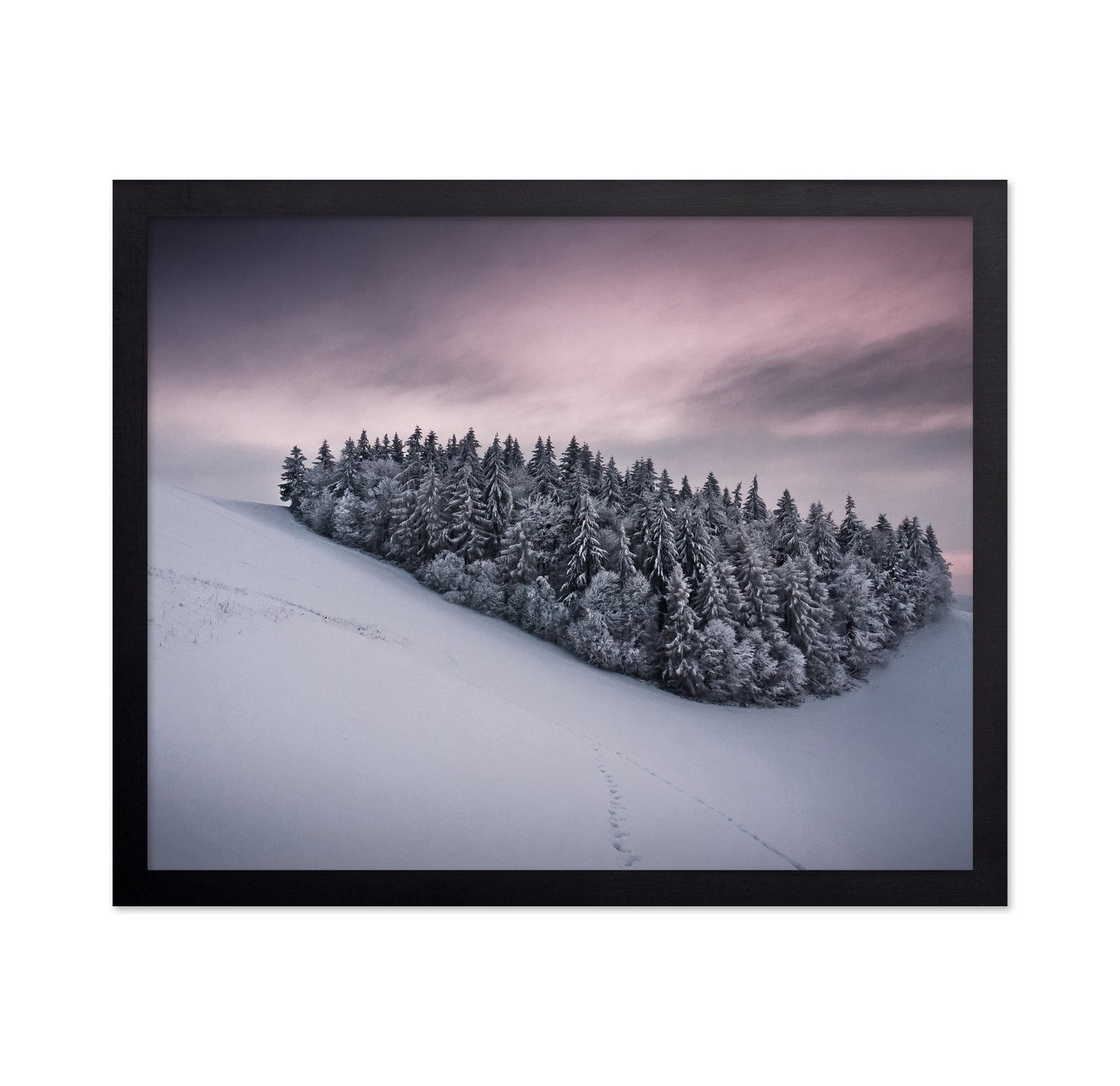 Snowy Cluster of Trees