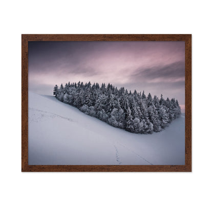 Snowy Cluster of Trees