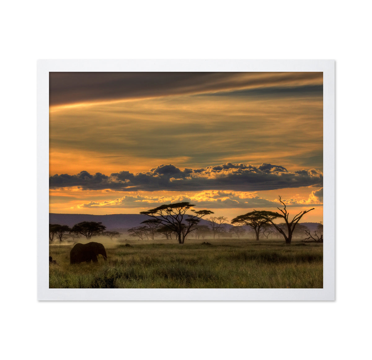 African Savannah at Sunset