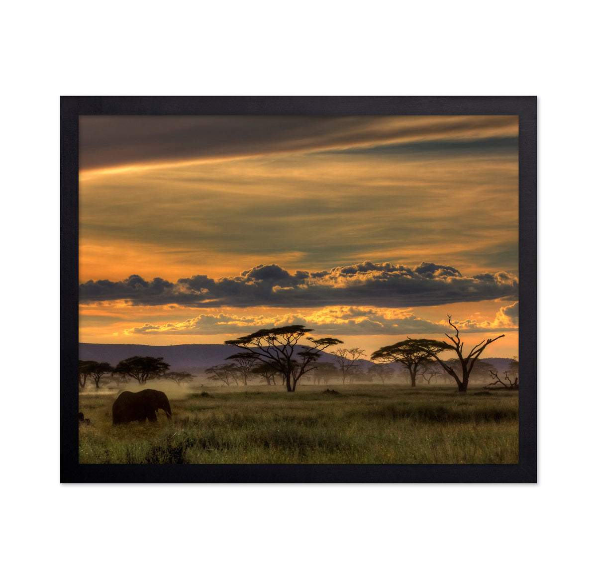 African Savannah at Sunset