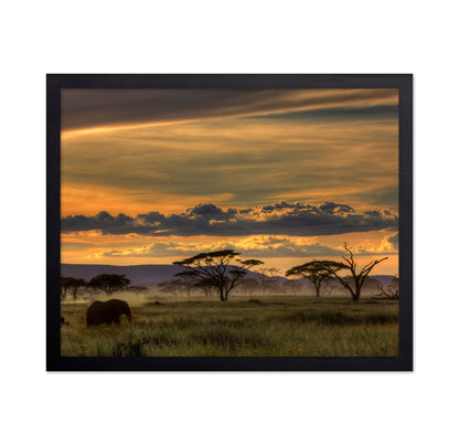 African Savannah at Sunset