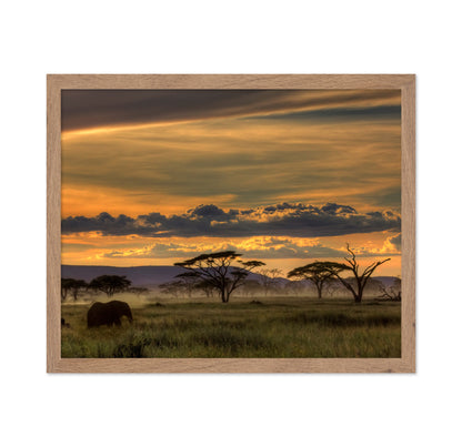 African Savannah at Sunset
