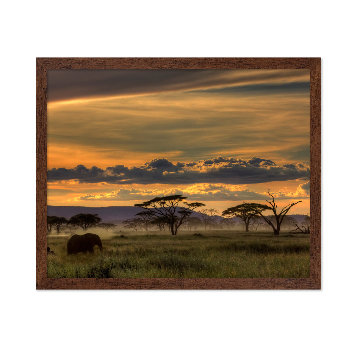 African Savannah at Sunset