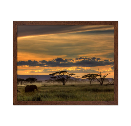 African Savannah at Sunset