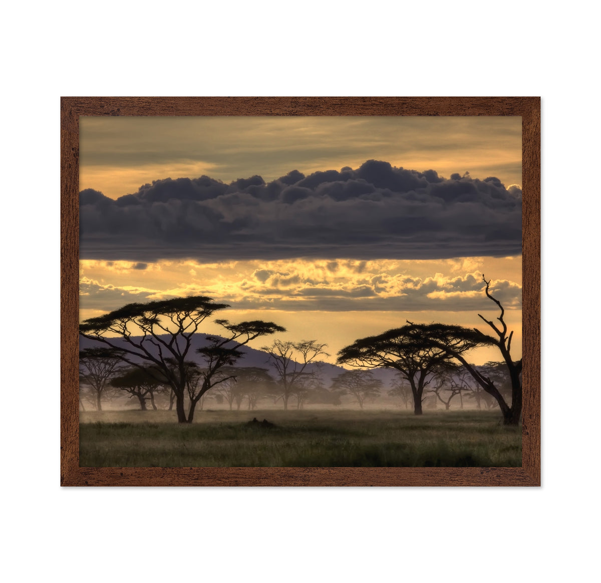Good Evening Tanazania