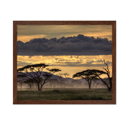 Good Evening Tanazania