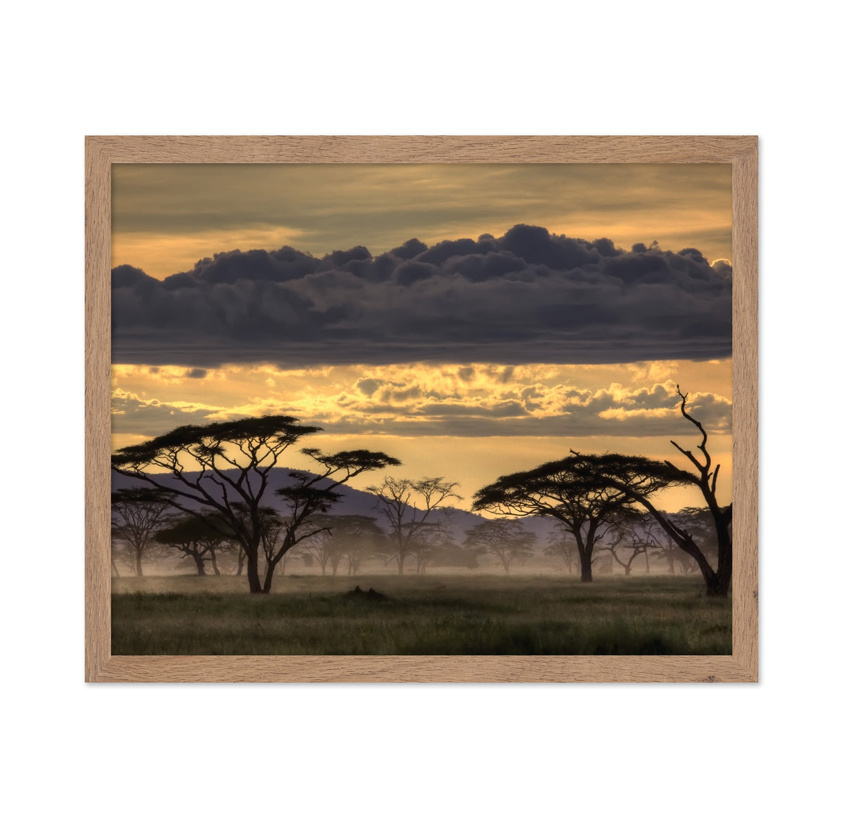 Good Evening Tanazania
