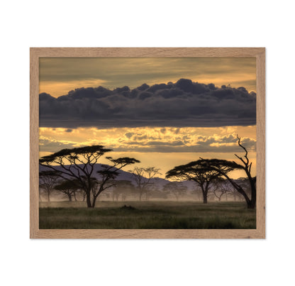 Good Evening Tanazania