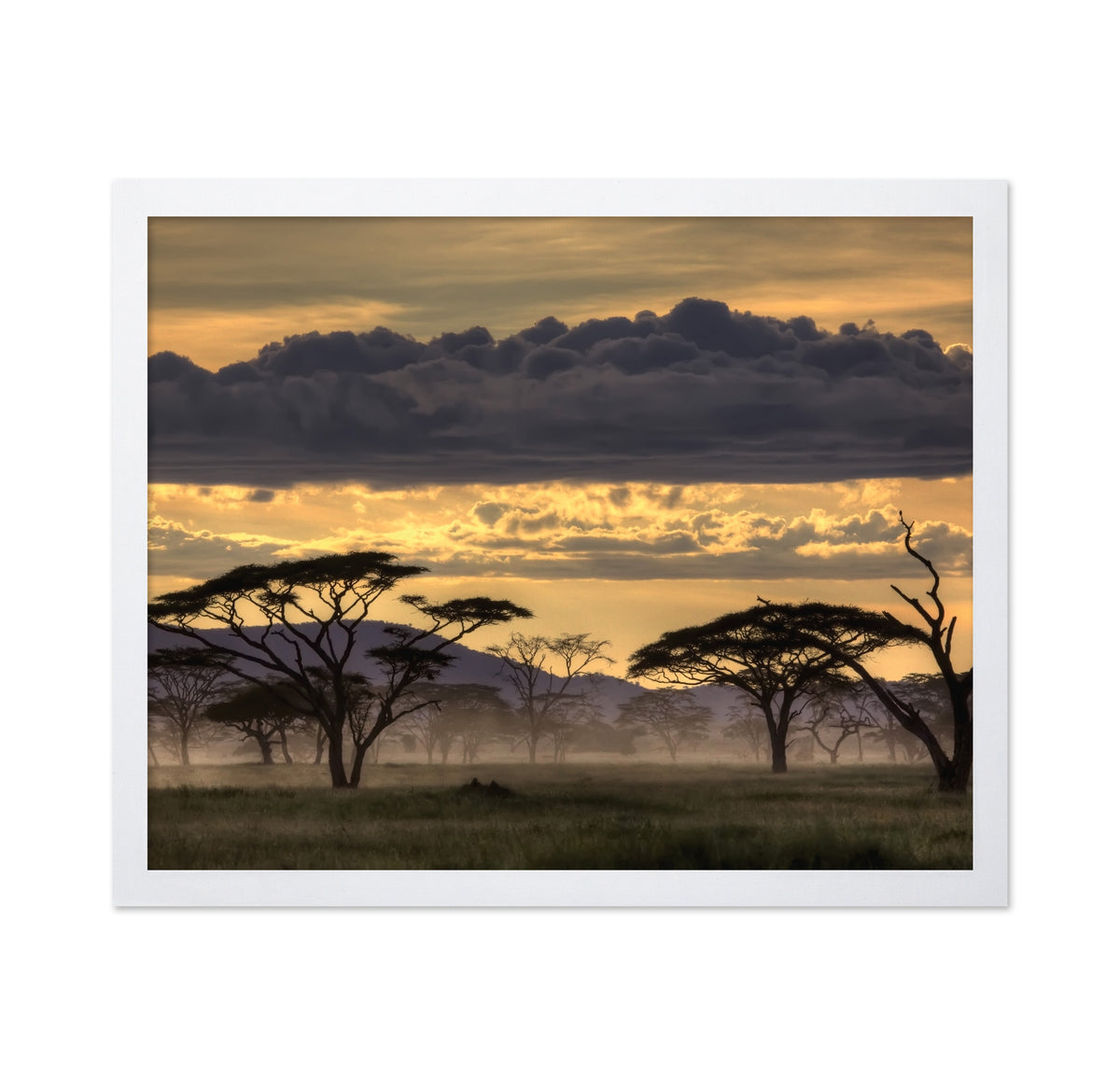 Good Evening Tanazania
