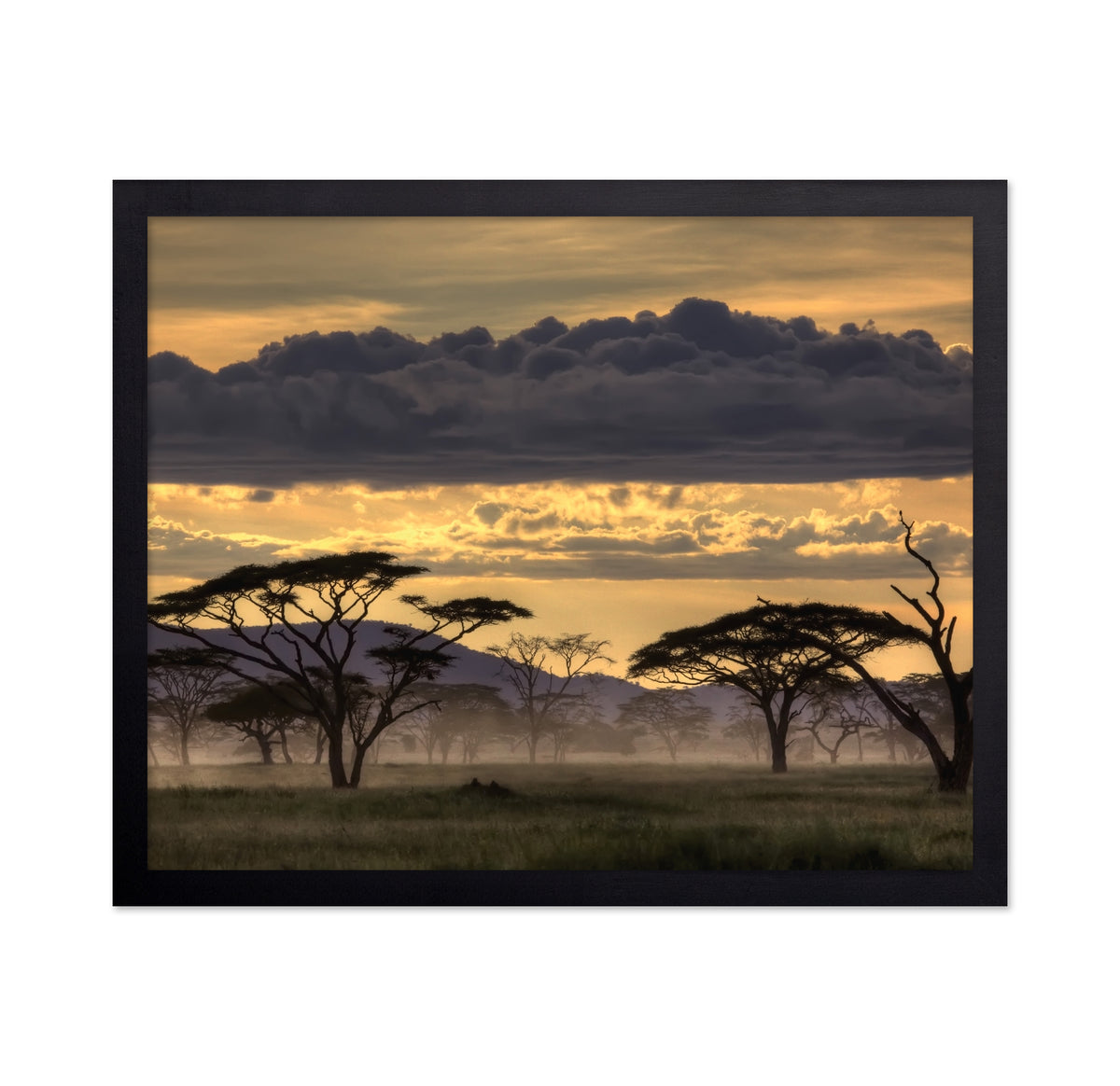 Good Evening Tanazania