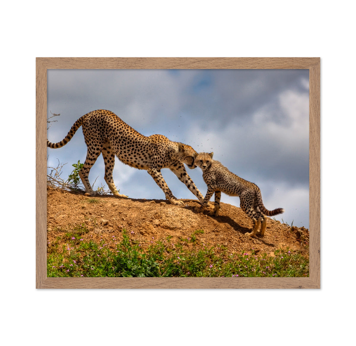 Mother Love