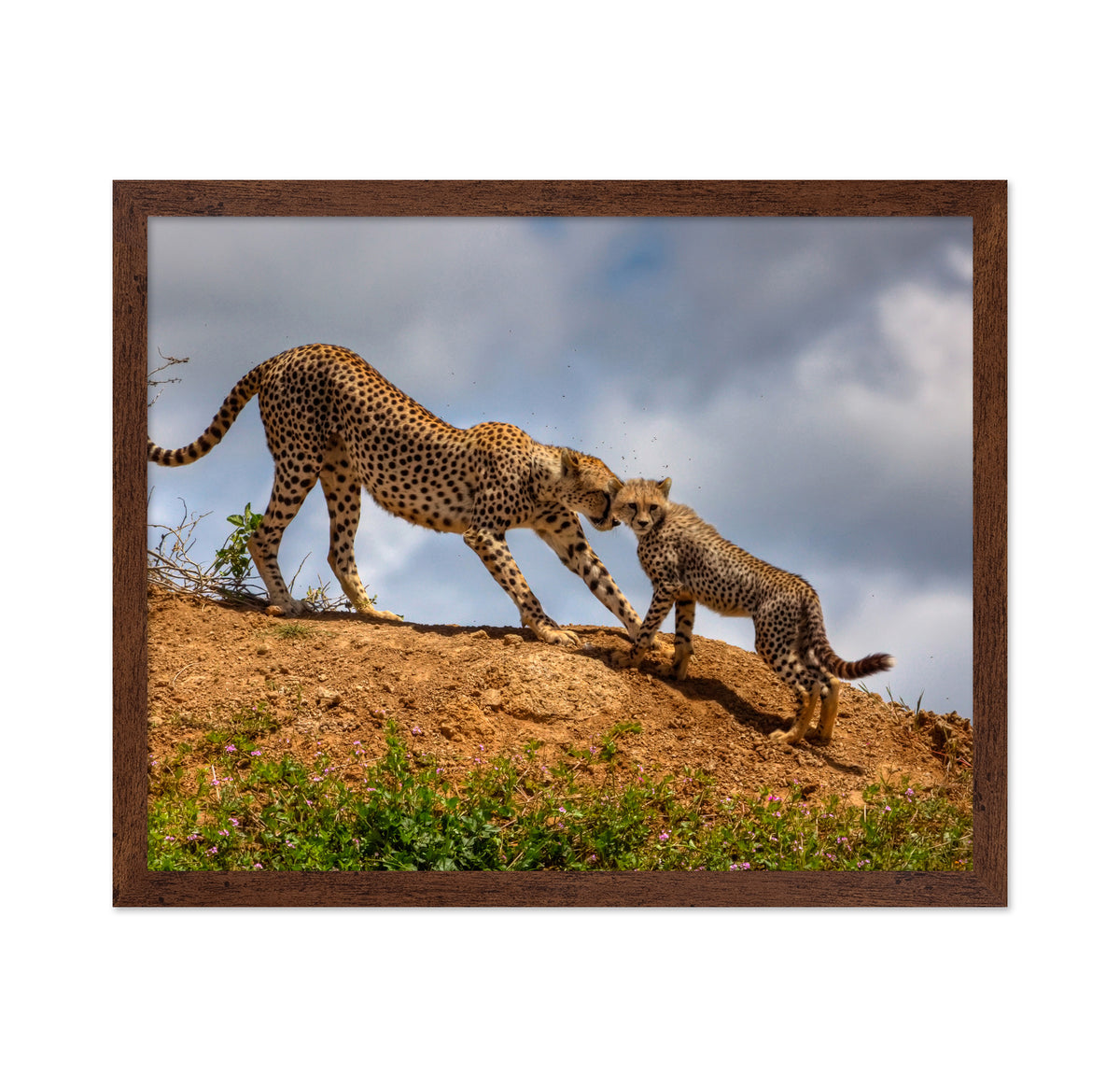 Mother Love