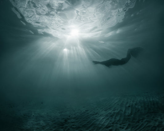 Sun Swimmers