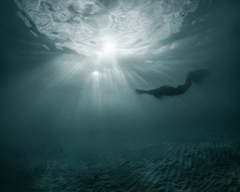 Sun Swimmers