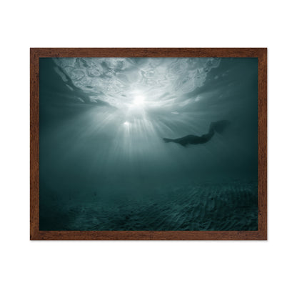 Sun Swimmers