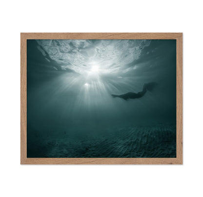 Sun Swimmers