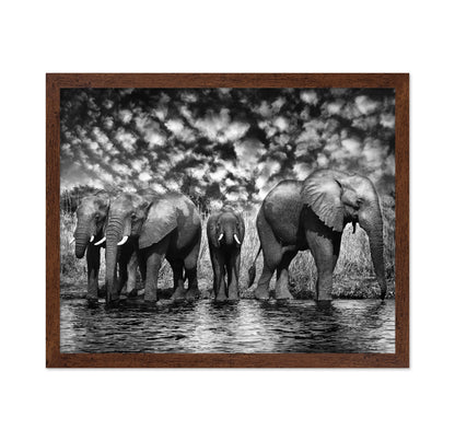 Herd of African Elephants