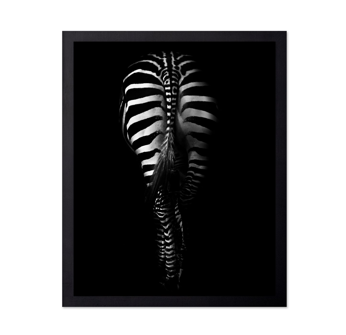 Zebra's Behind