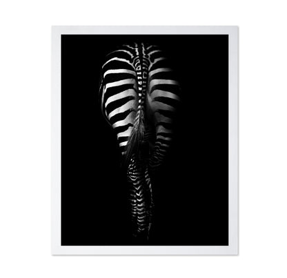 Zebra's Behind
