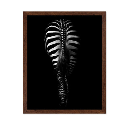Zebra's Behind