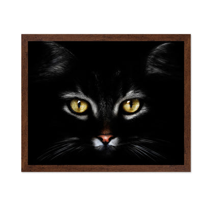 Black CatBlack Cat With Yellow Eyes