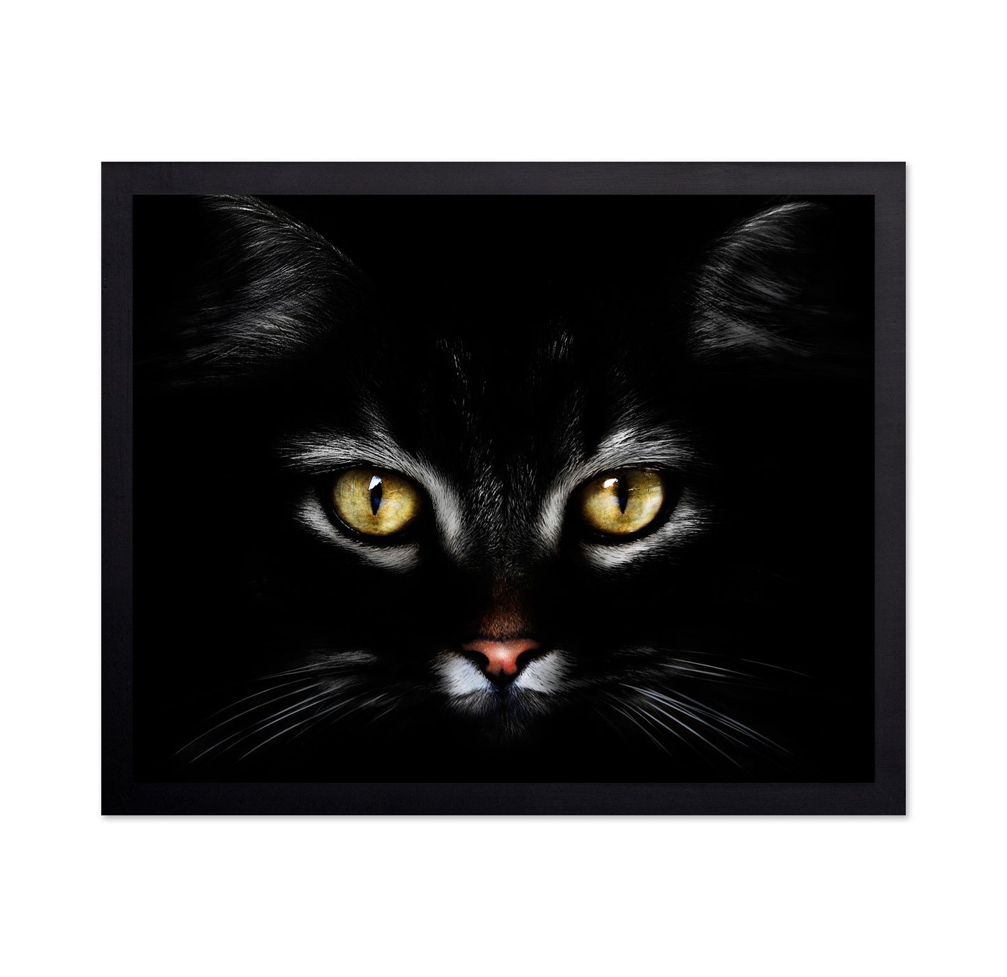 Black CatBlack Cat With Yellow Eyes