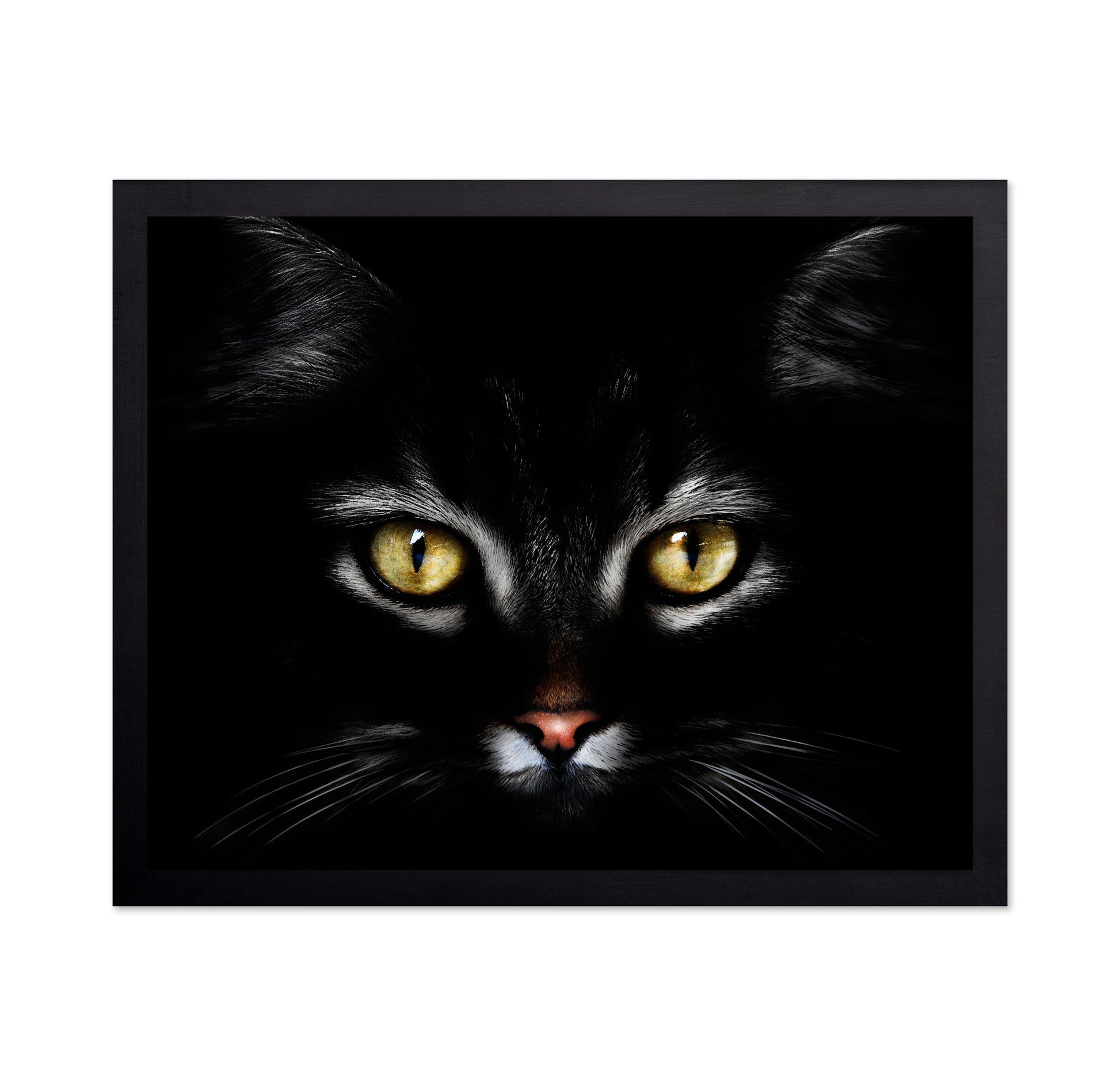 Black CatBlack Cat With Yellow Eyes