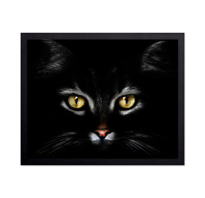 Black CatBlack Cat With Yellow Eyes