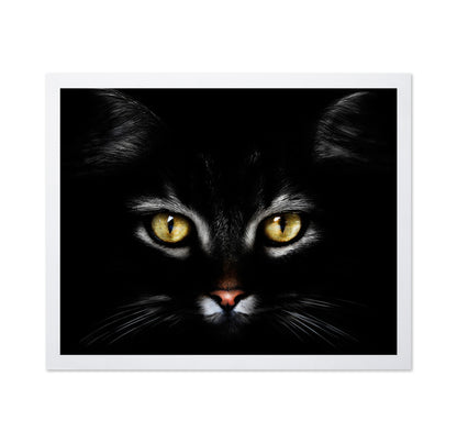 Black CatBlack Cat With Yellow Eyes