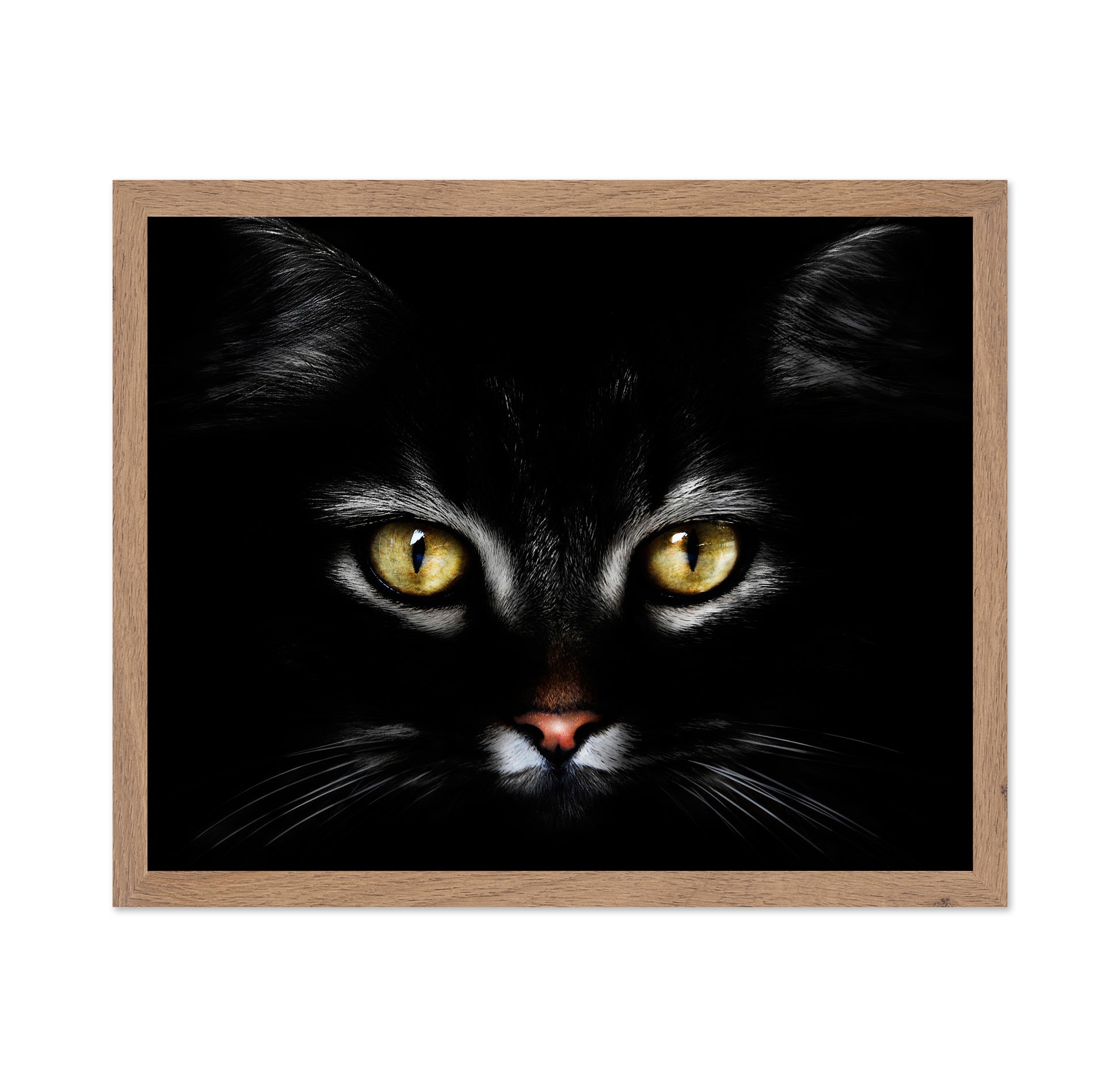 Black CatBlack Cat With Yellow Eyes