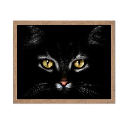 Black CatBlack Cat With Yellow Eyes