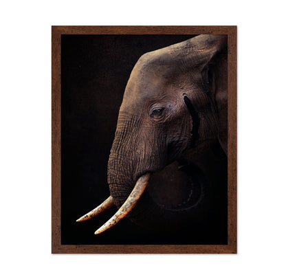 African Bush Elephant