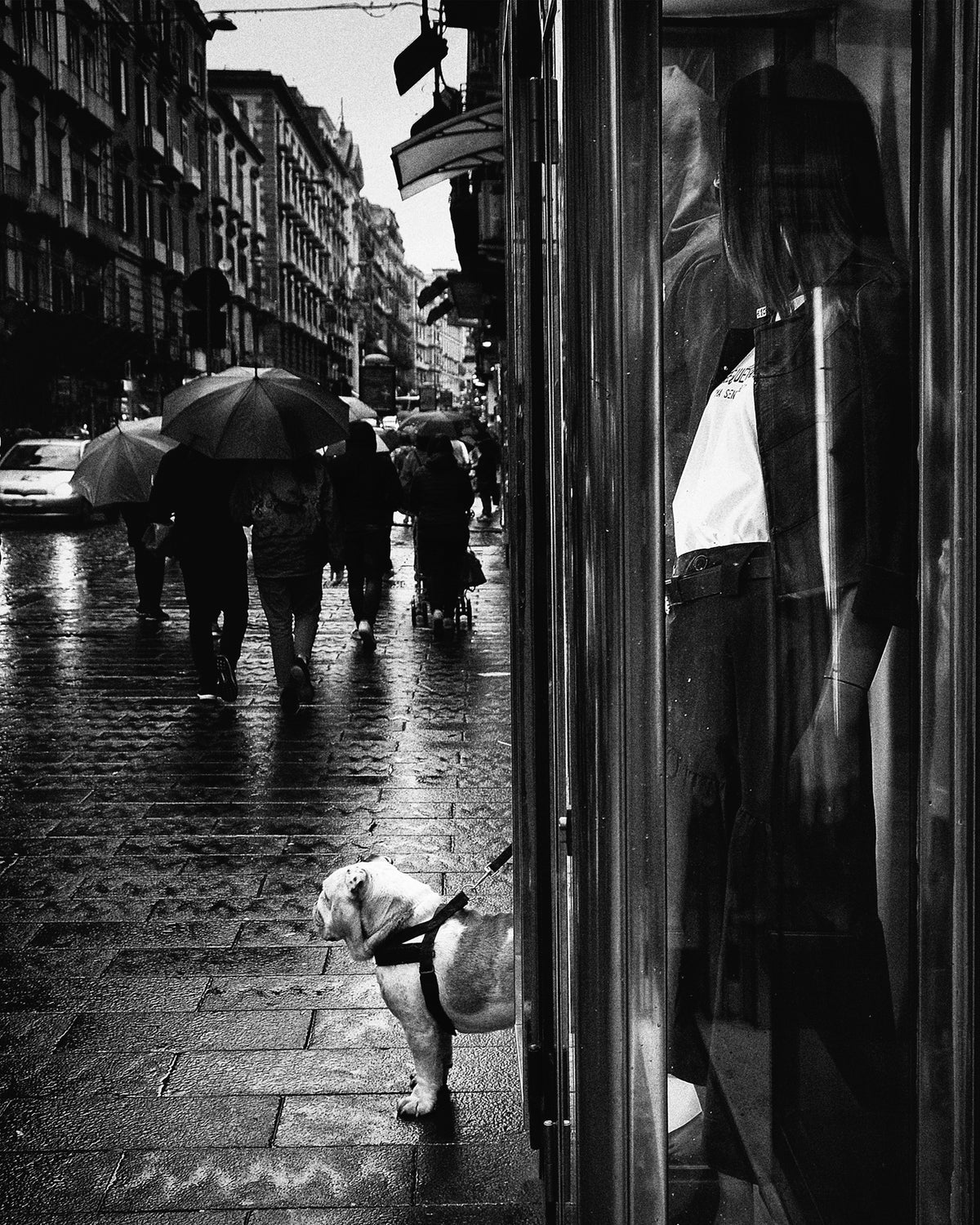 Street Scene in the Rain