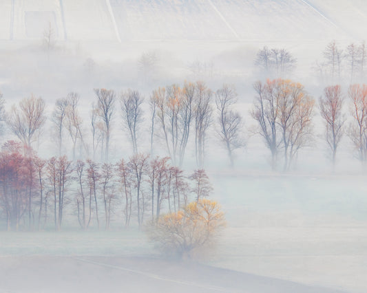 Spring Mists